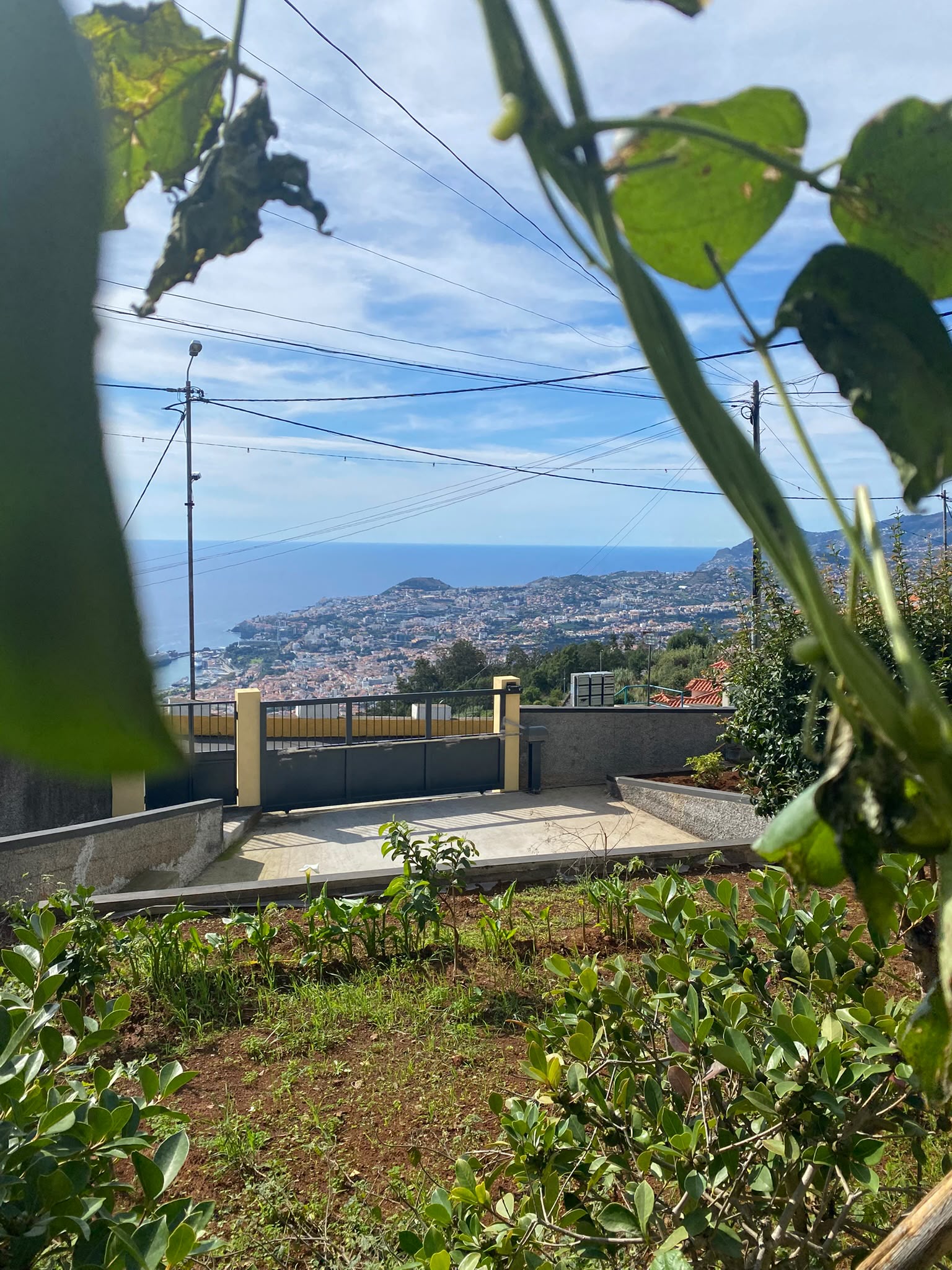 View of Terreiro da Laurinda guest house surrounded by Madeira's hills and gardens