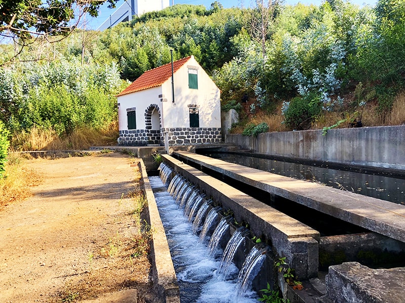 Levada dos Tornos in Madeira